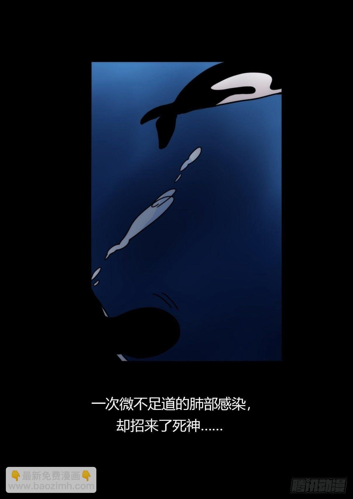 虎鲸篇：这些杀手不太冷02
