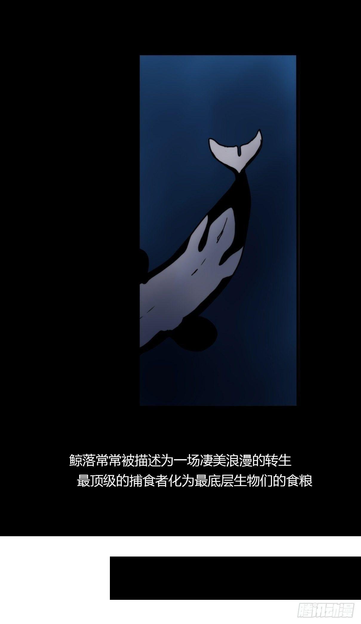 虎鲸篇：这些杀手不太冷02