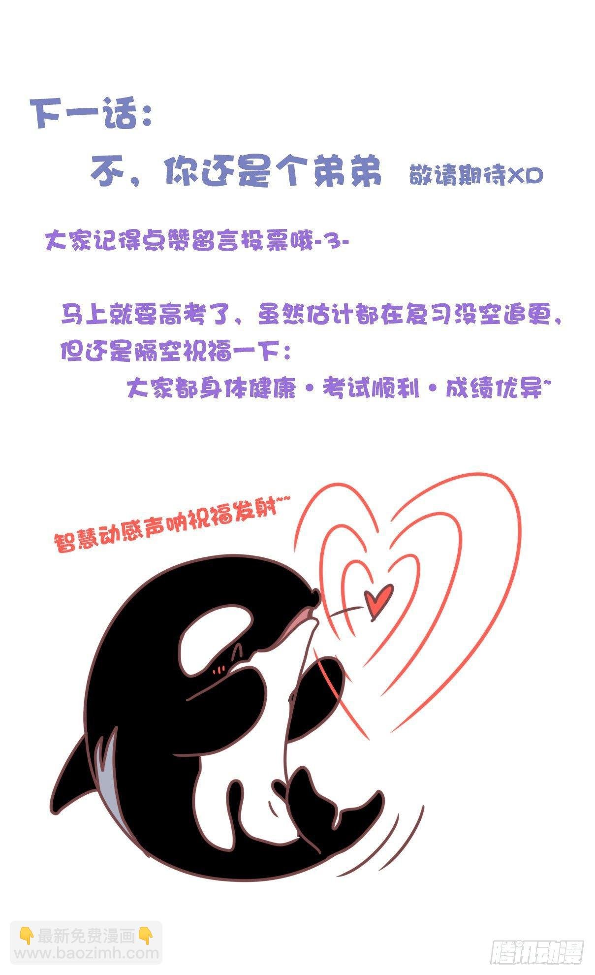虎鲸篇：这些杀手不太冷02