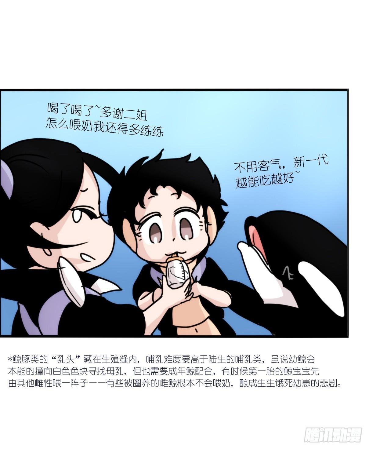 虎鲸篇：这些杀手不太冷03