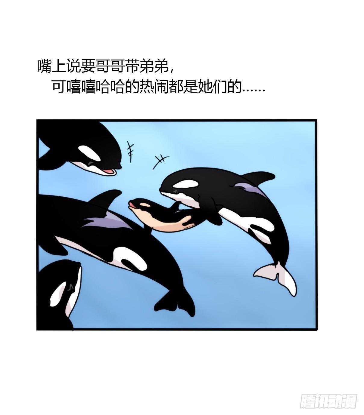 虎鲸篇：这些杀手不太冷03