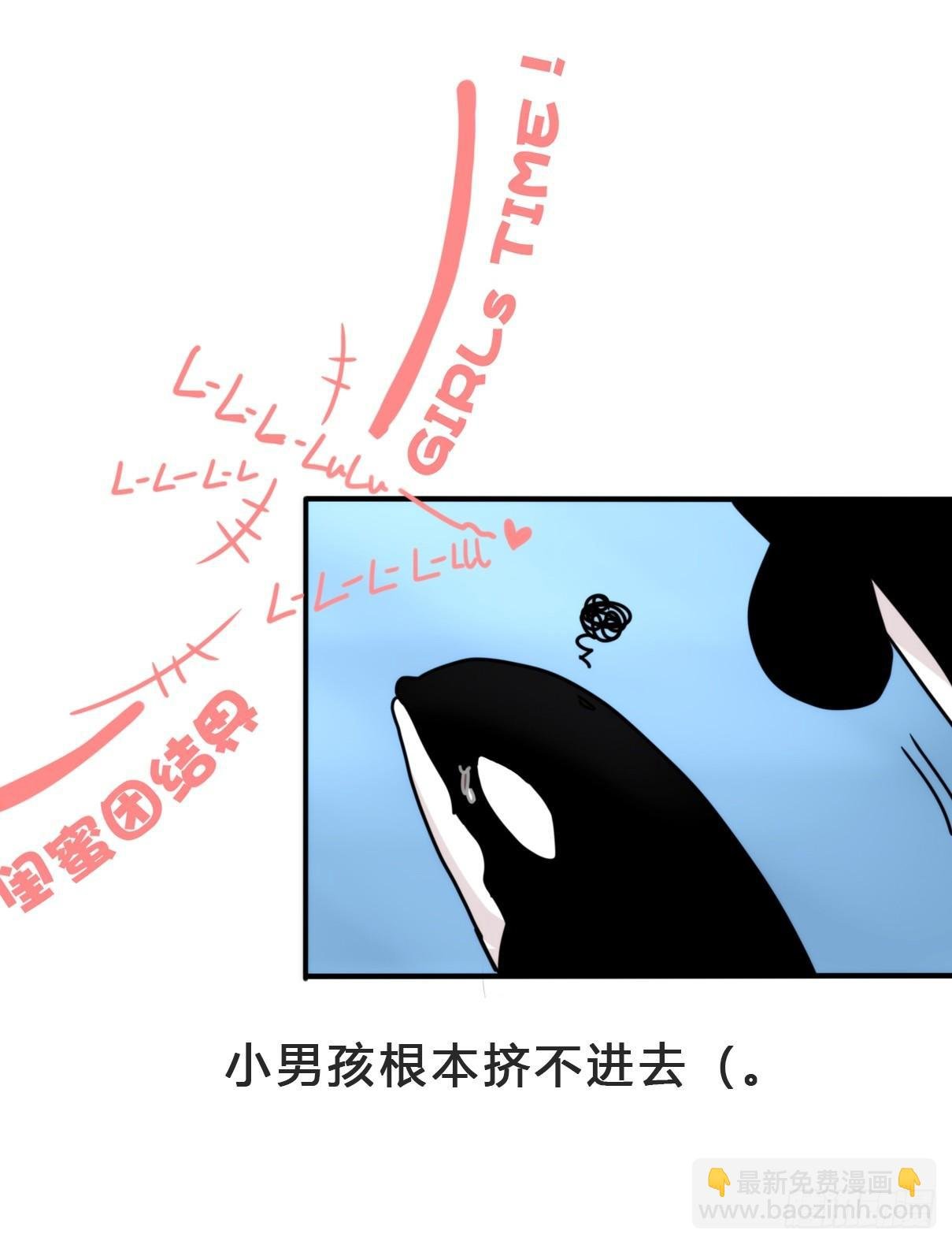 虎鲸篇：这些杀手不太冷03