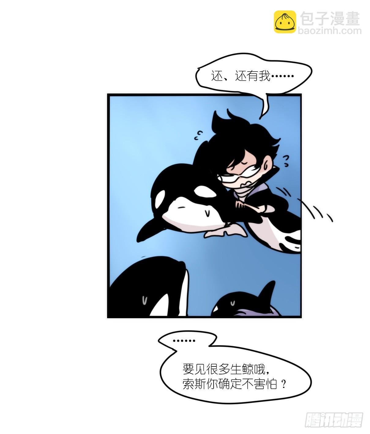 虎鲸篇：这些杀手不太冷03