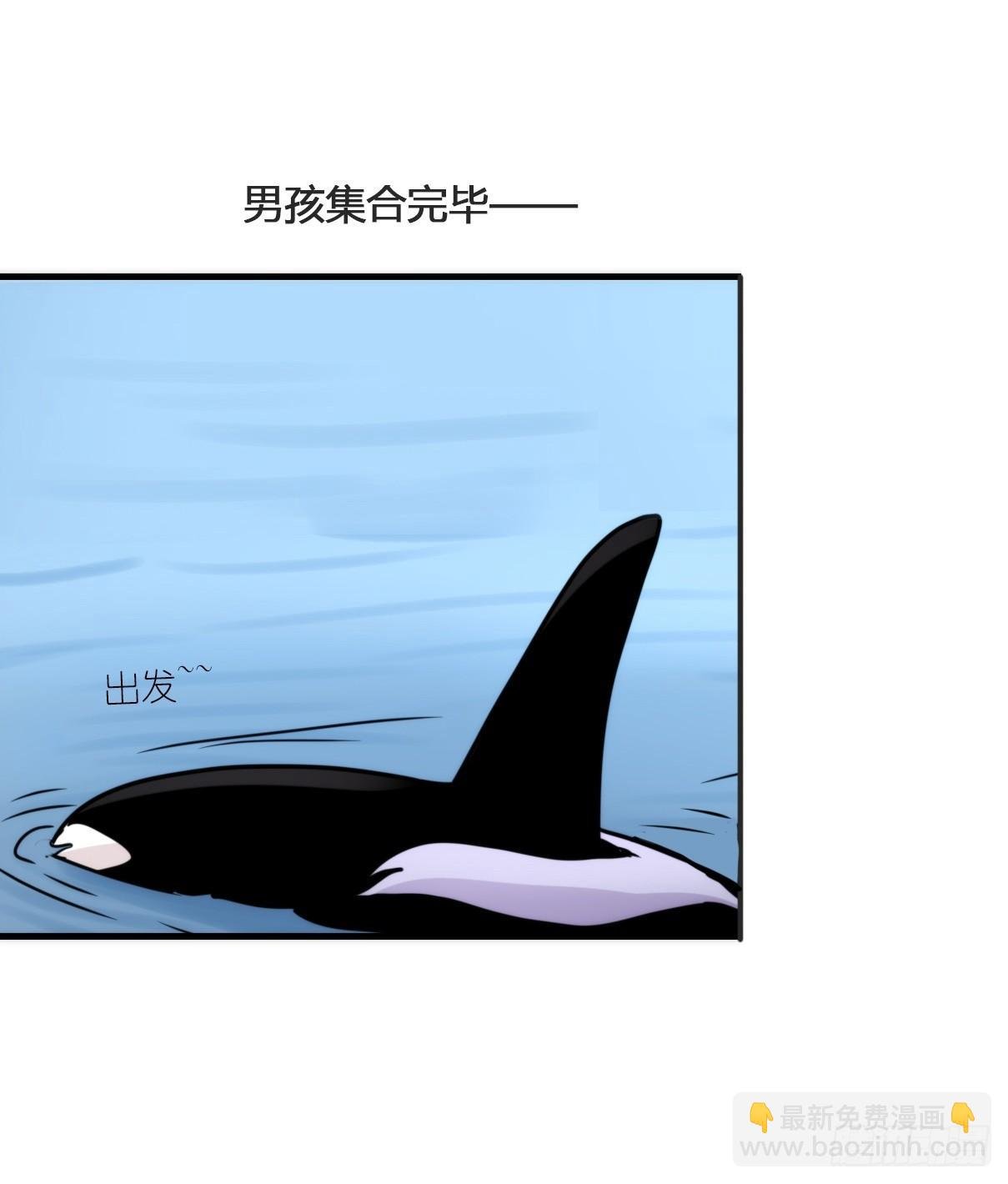 虎鲸篇：这些杀手不太冷03