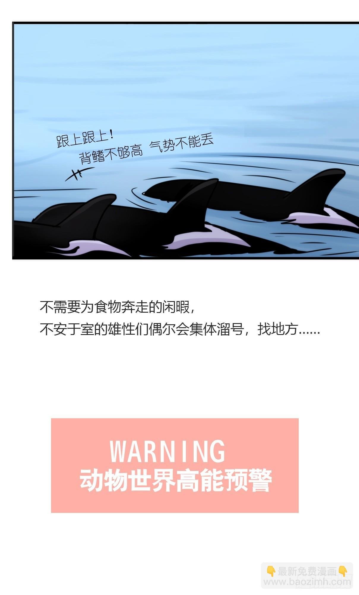 虎鲸篇：这些杀手不太冷03