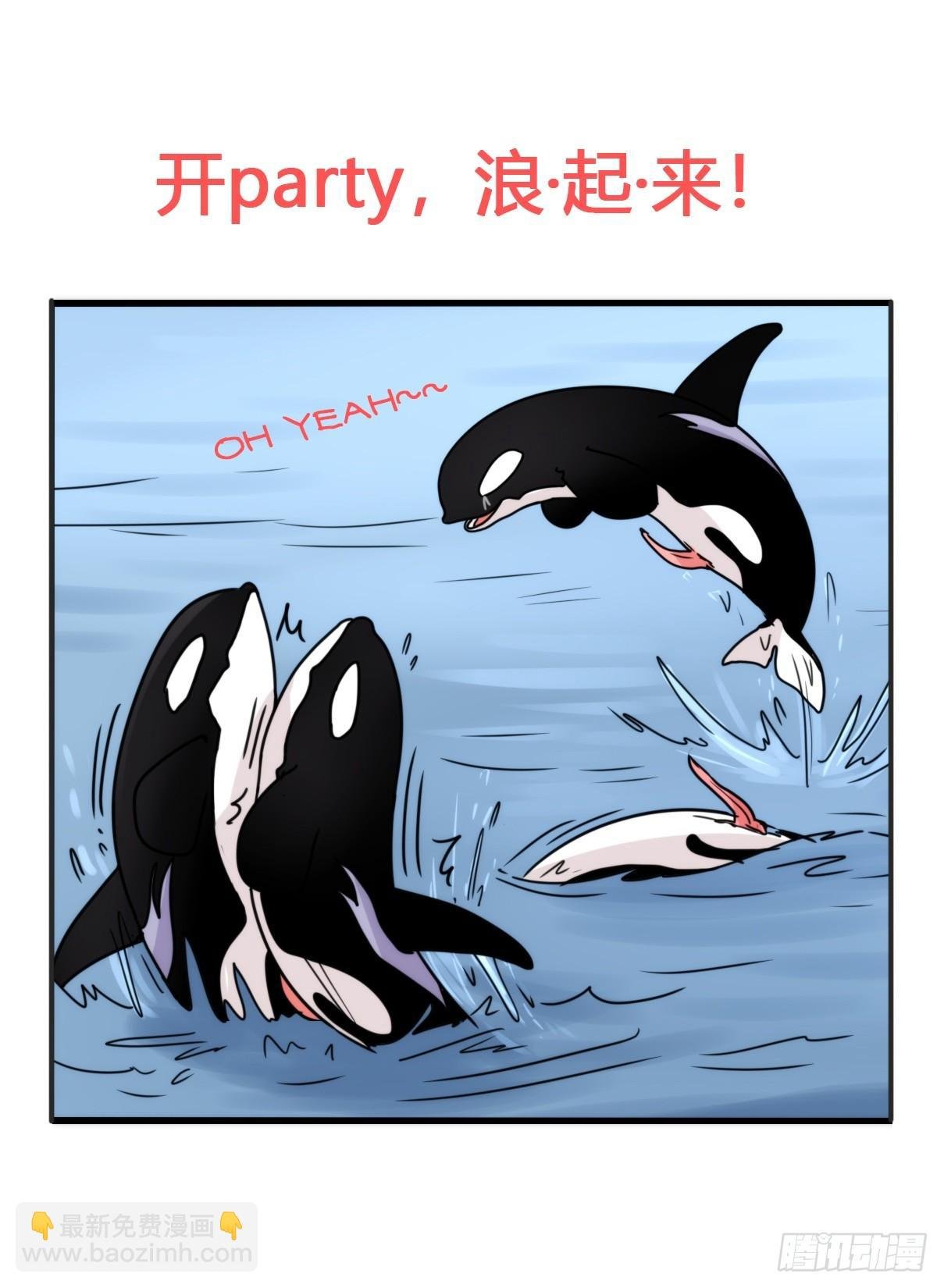 虎鲸篇：这些杀手不太冷03