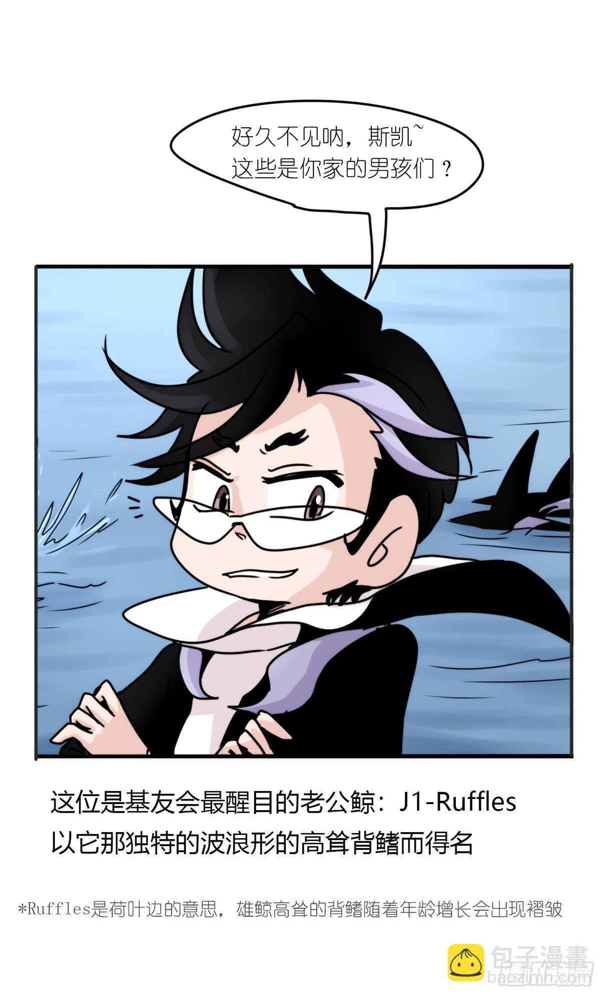 虎鲸篇：这些杀手不太冷03