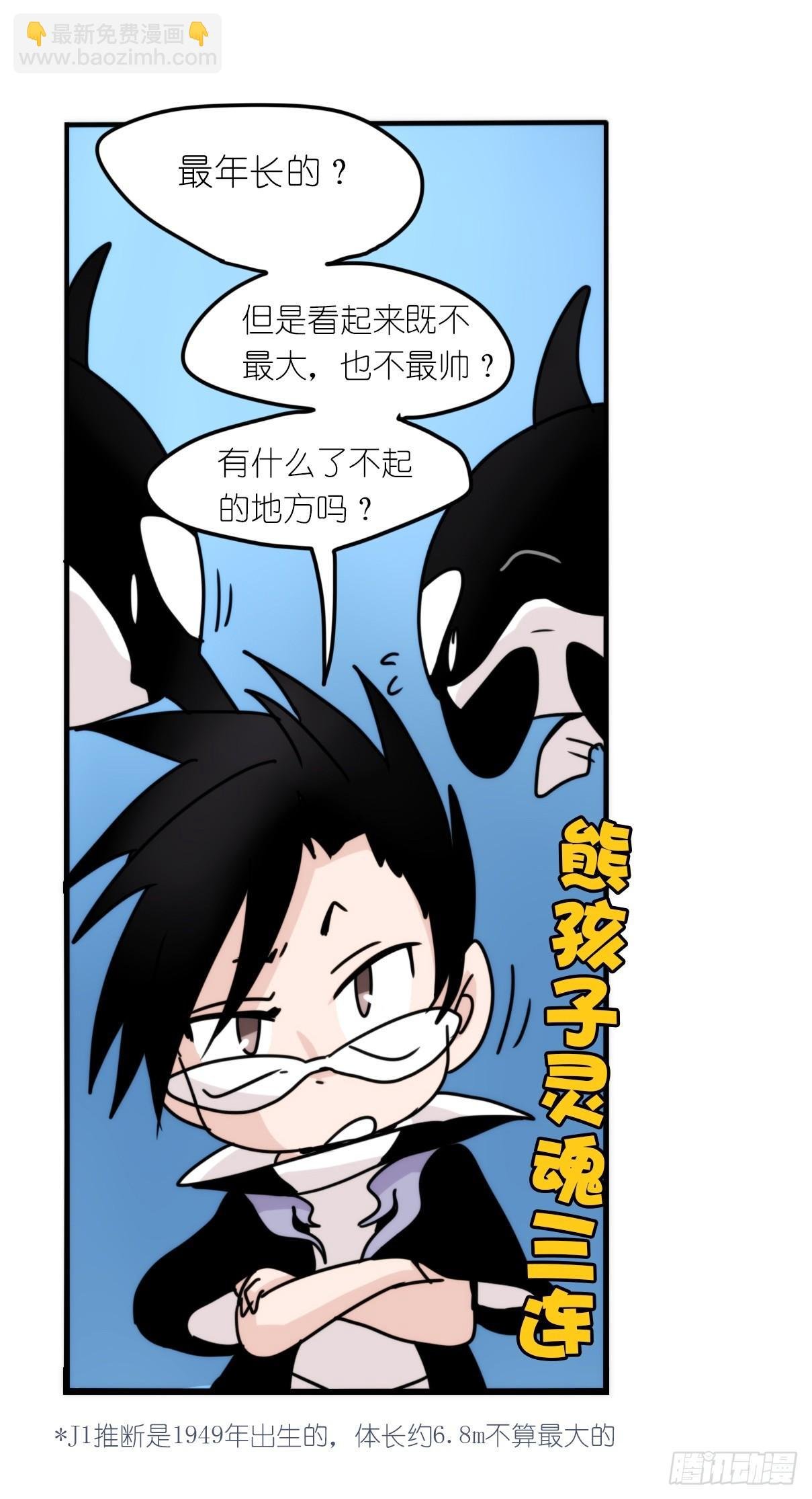 虎鲸篇：这些杀手不太冷03