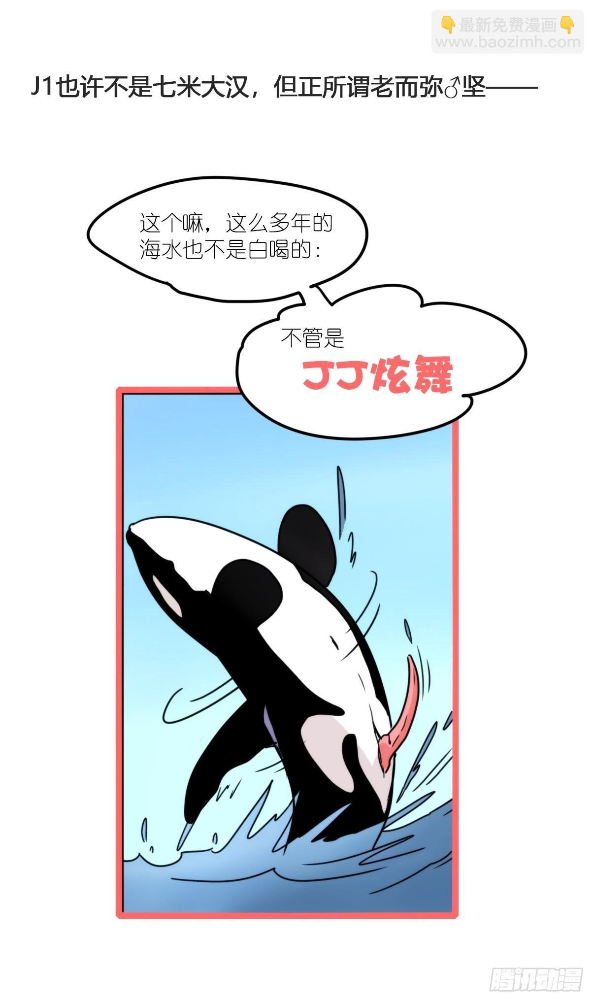 虎鲸篇：这些杀手不太冷03