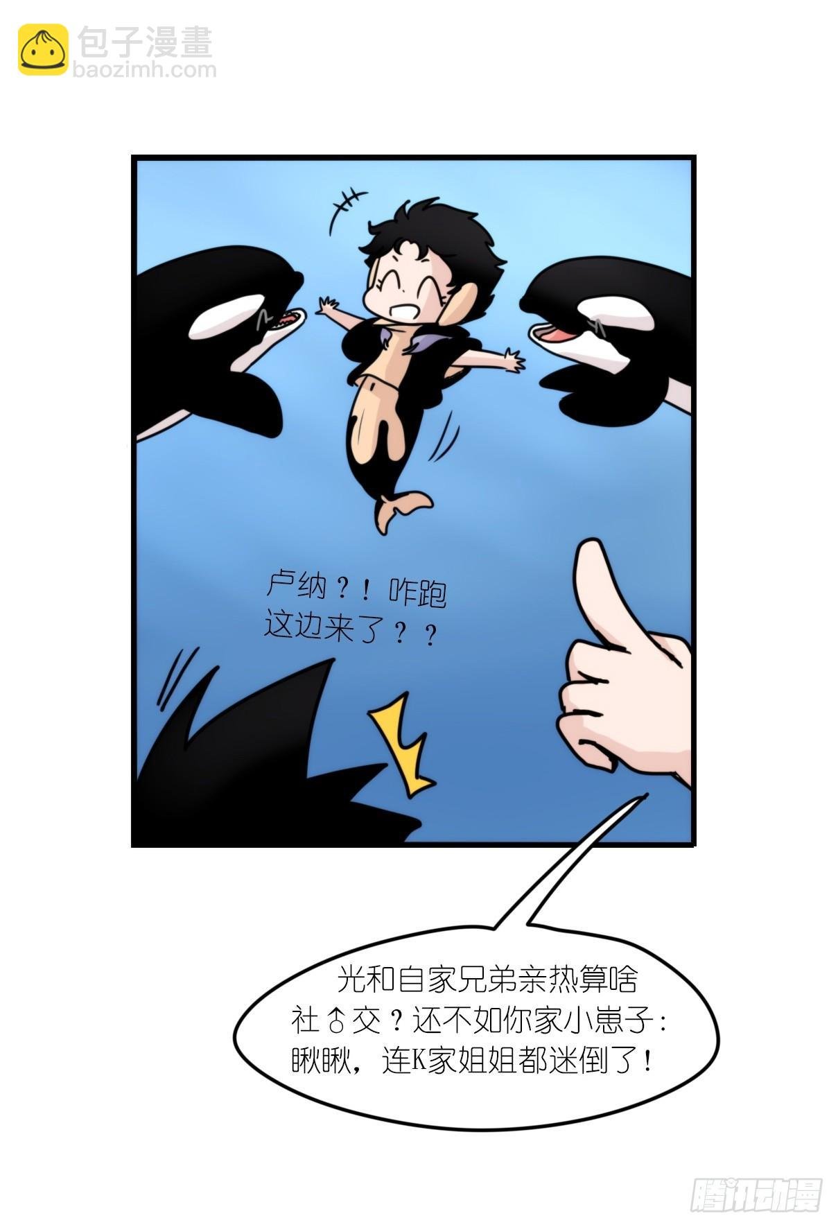 虎鲸篇：这些杀手不太冷03