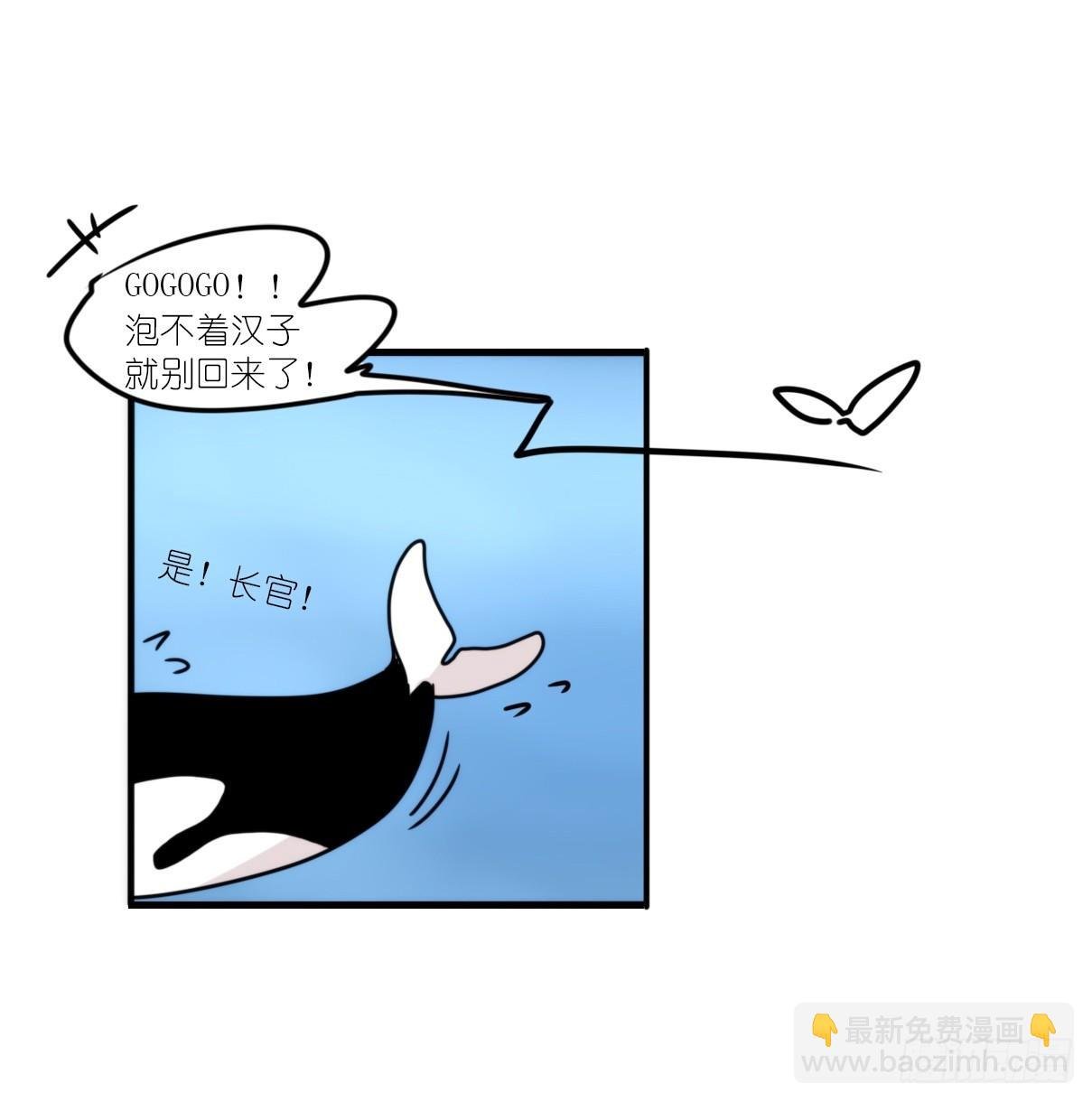 虎鲸篇：这些杀手不太冷03