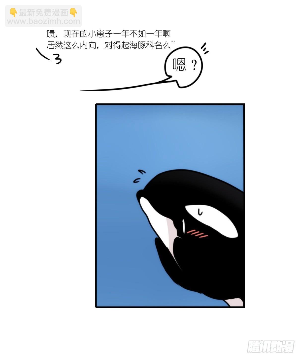 虎鲸篇：这些杀手不太冷03
