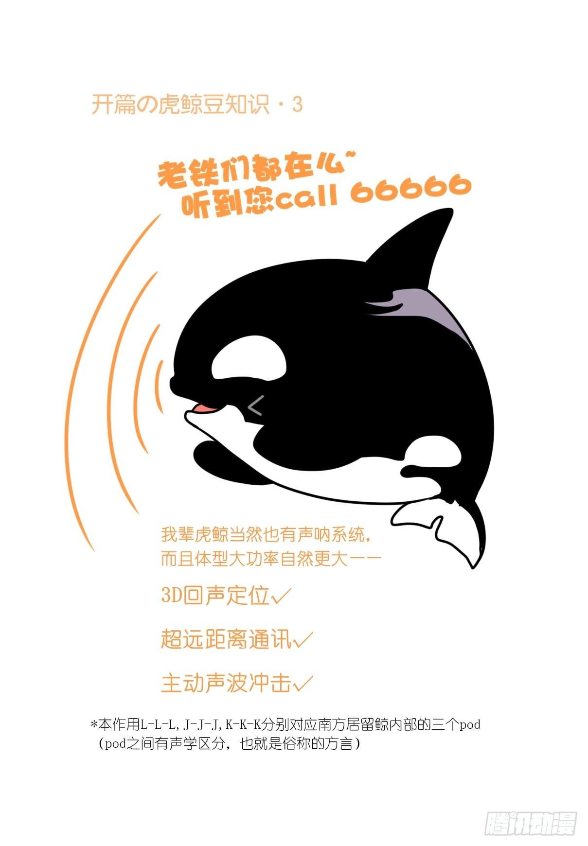 虎鲸篇：这些杀手不太冷04