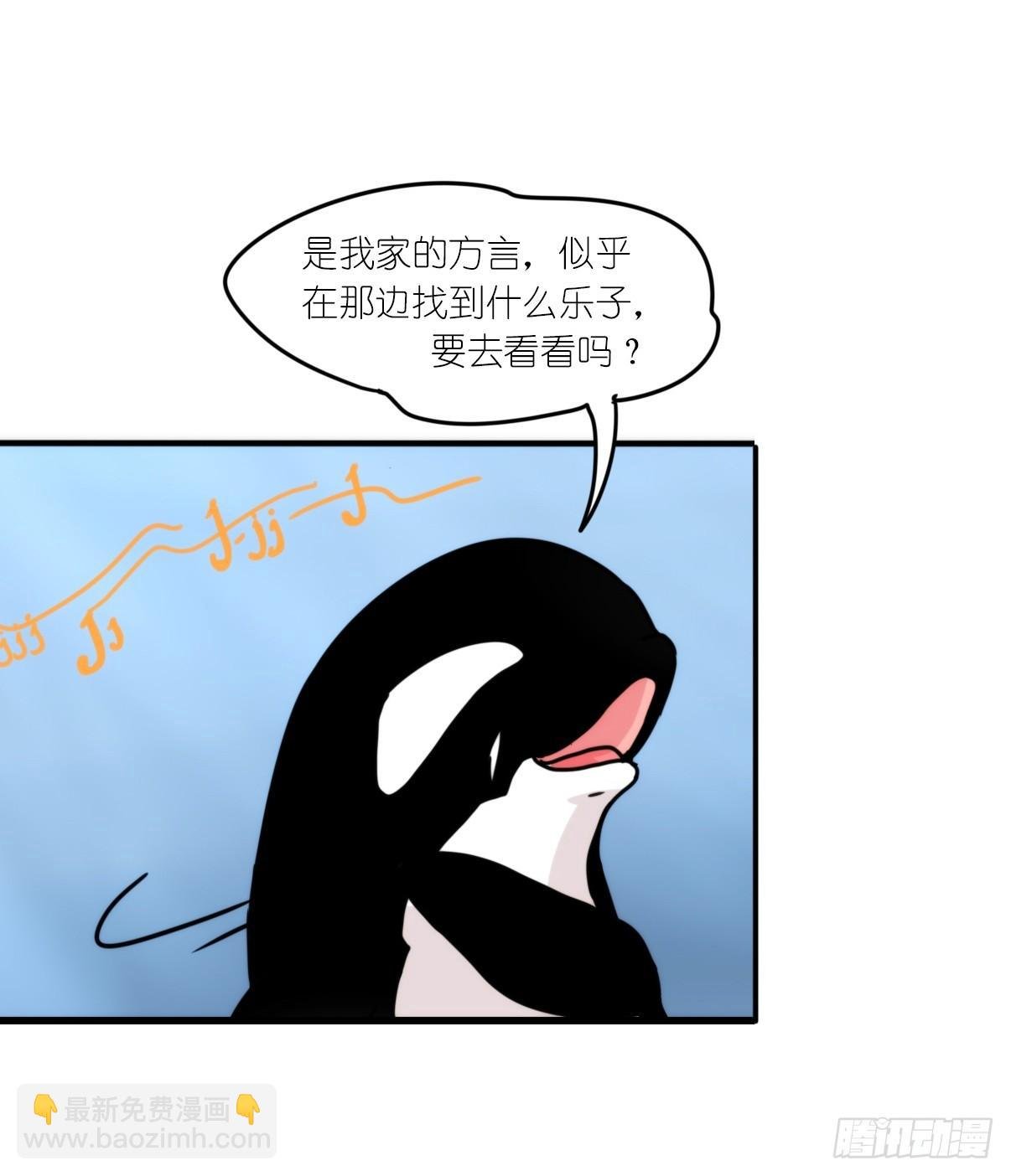 虎鲸篇：这些杀手不太冷04