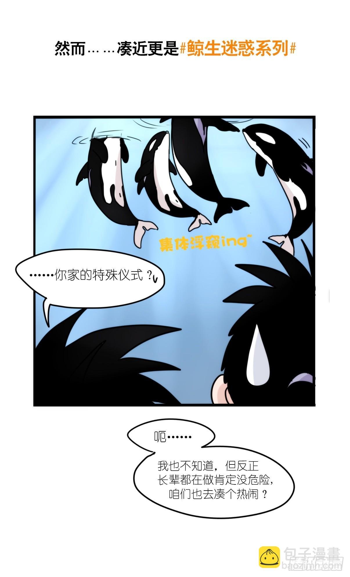 虎鲸篇：这些杀手不太冷04