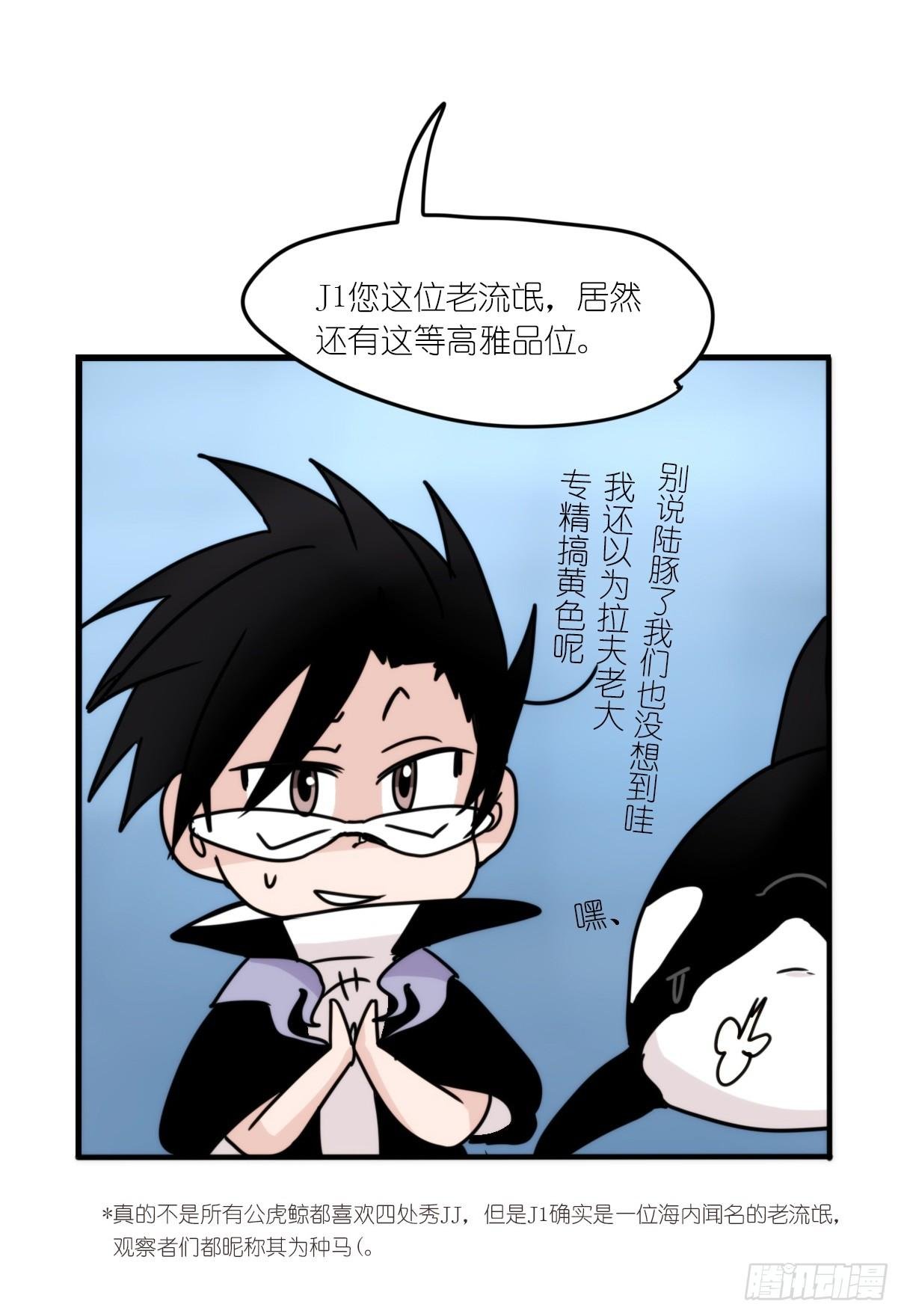 虎鲸篇：这些杀手不太冷04