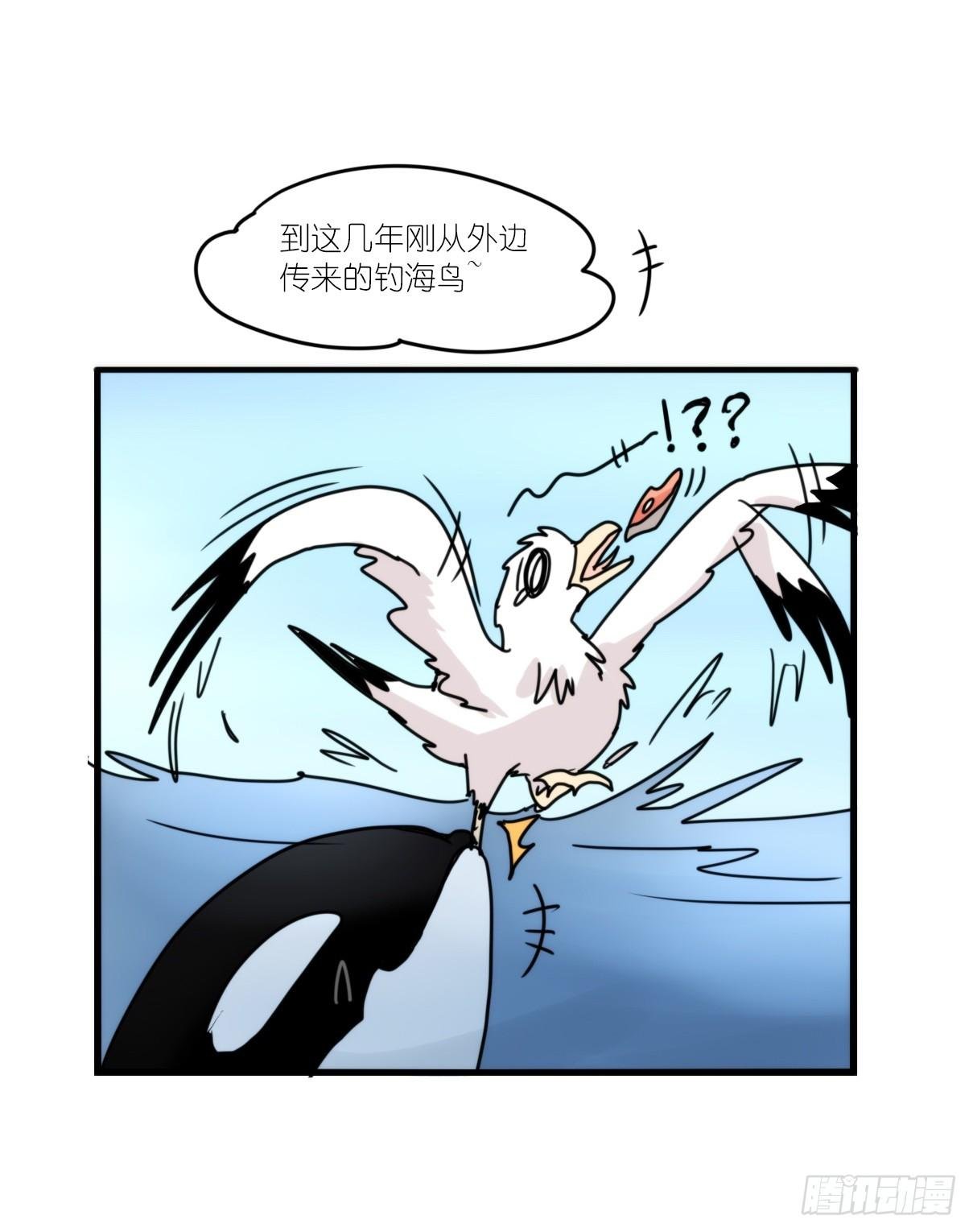 虎鲸篇：这些杀手不太冷04