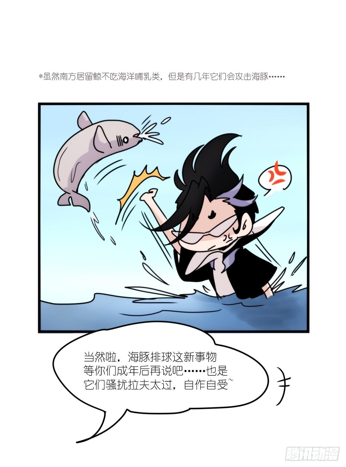 虎鲸篇：这些杀手不太冷04