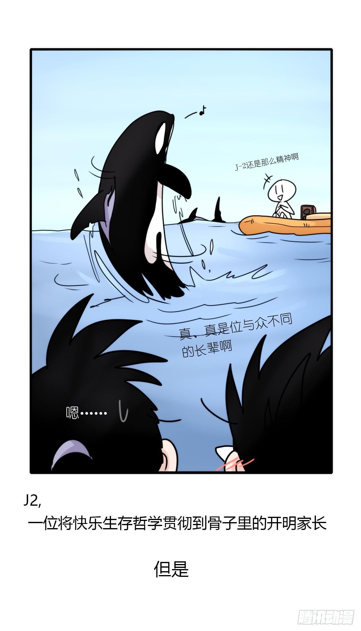 虎鲸篇：这些杀手不太冷04