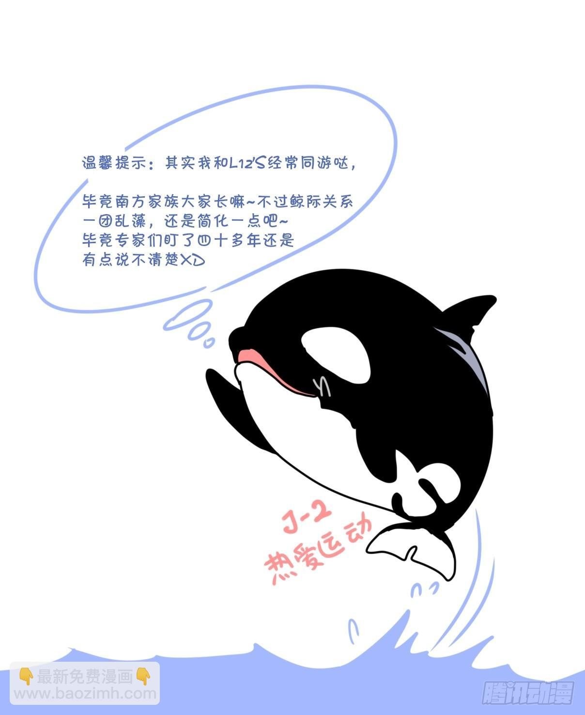 虎鲸篇：这些杀手不太冷04