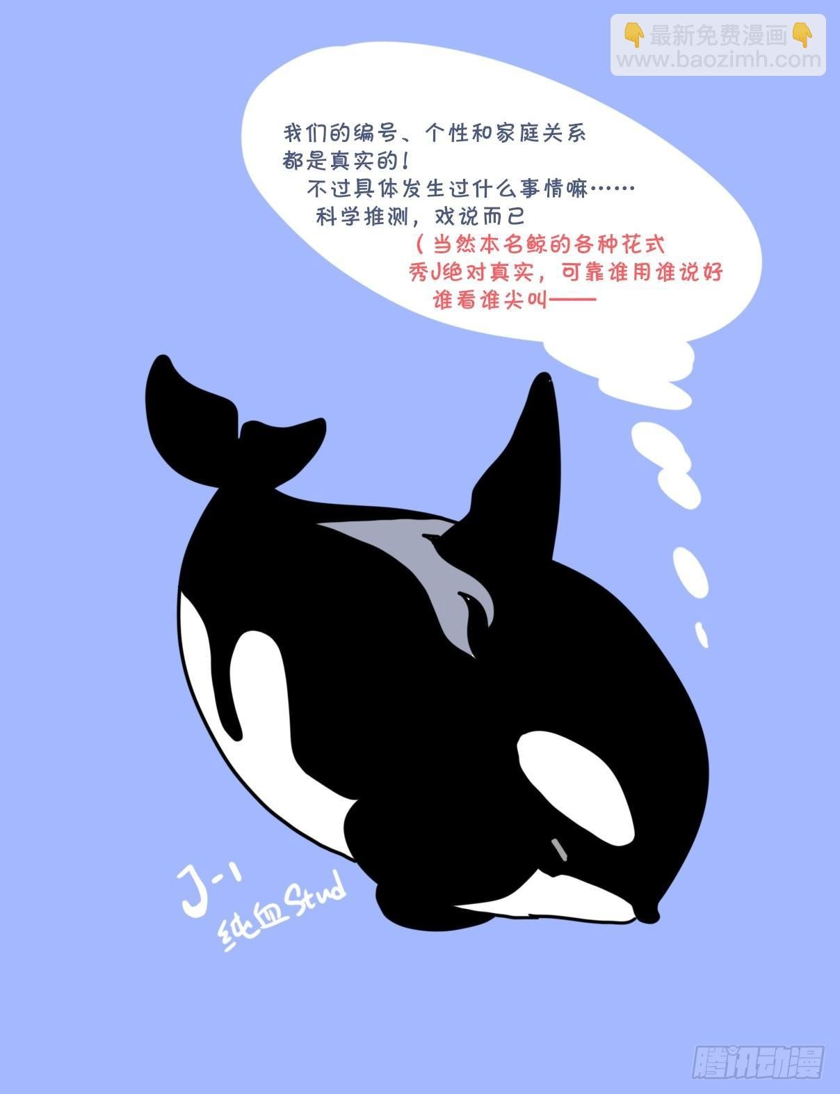 虎鲸篇：这些杀手不太冷04