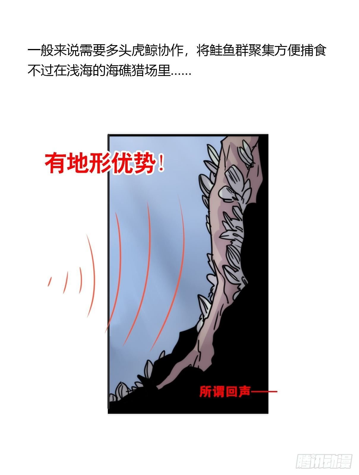 虎鲸篇：这些杀手不太冷05