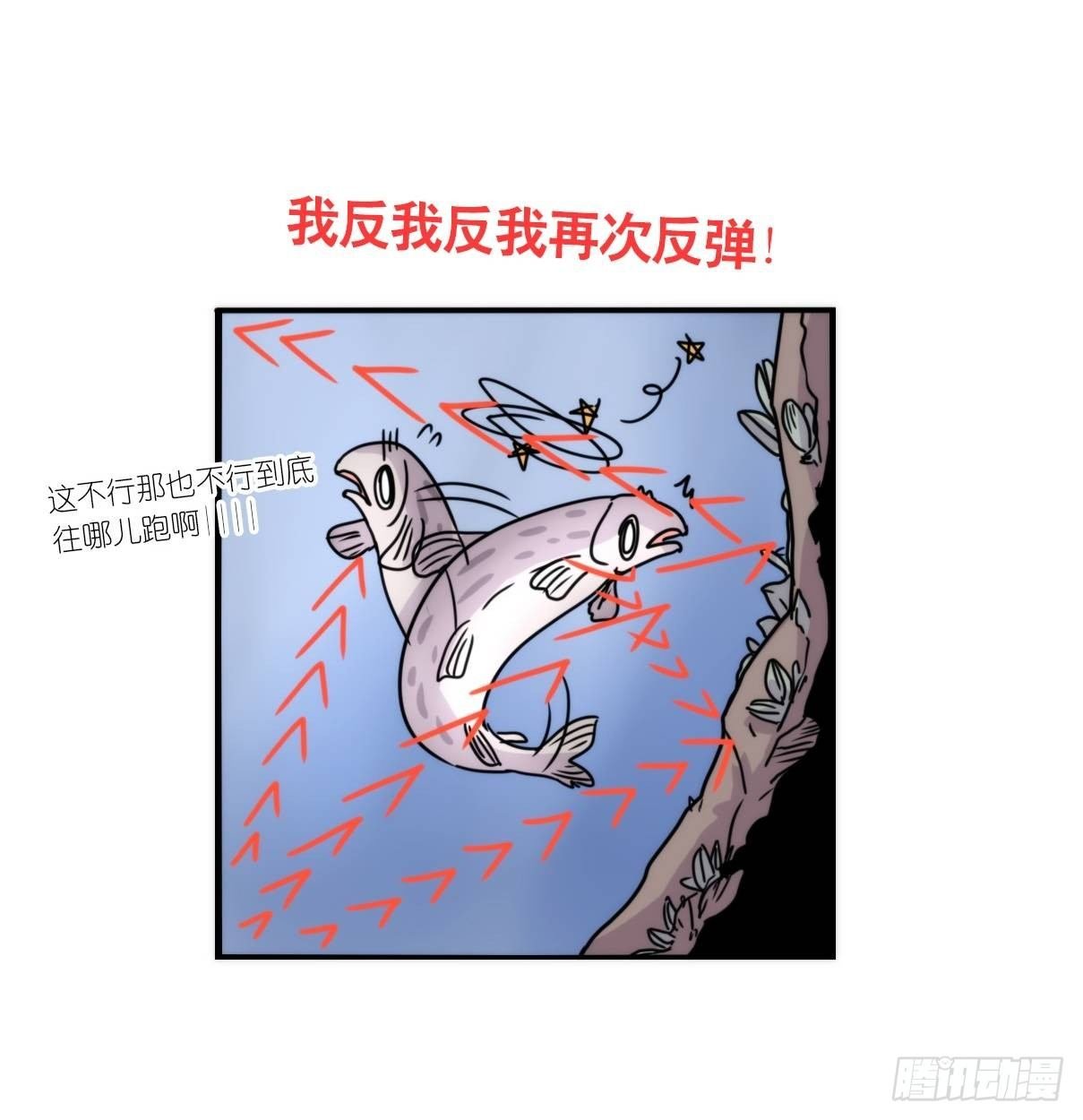 虎鲸篇：这些杀手不太冷05