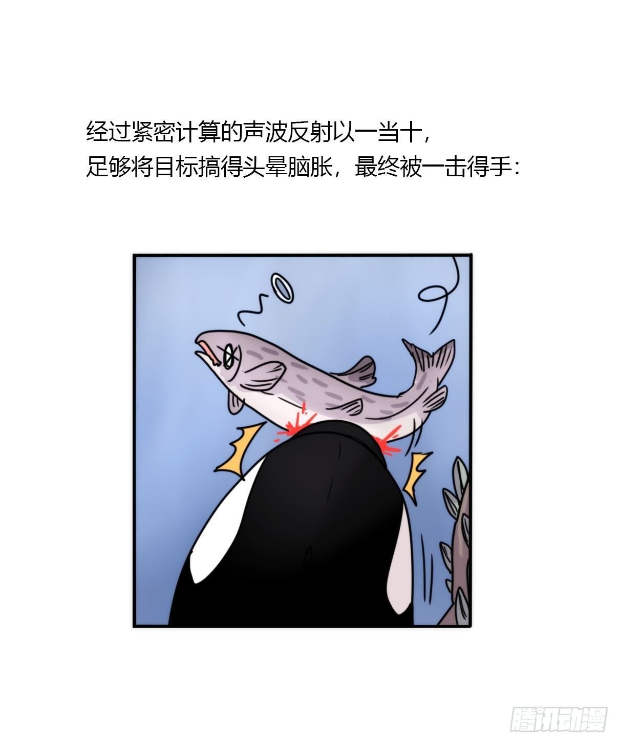 虎鲸篇：这些杀手不太冷05