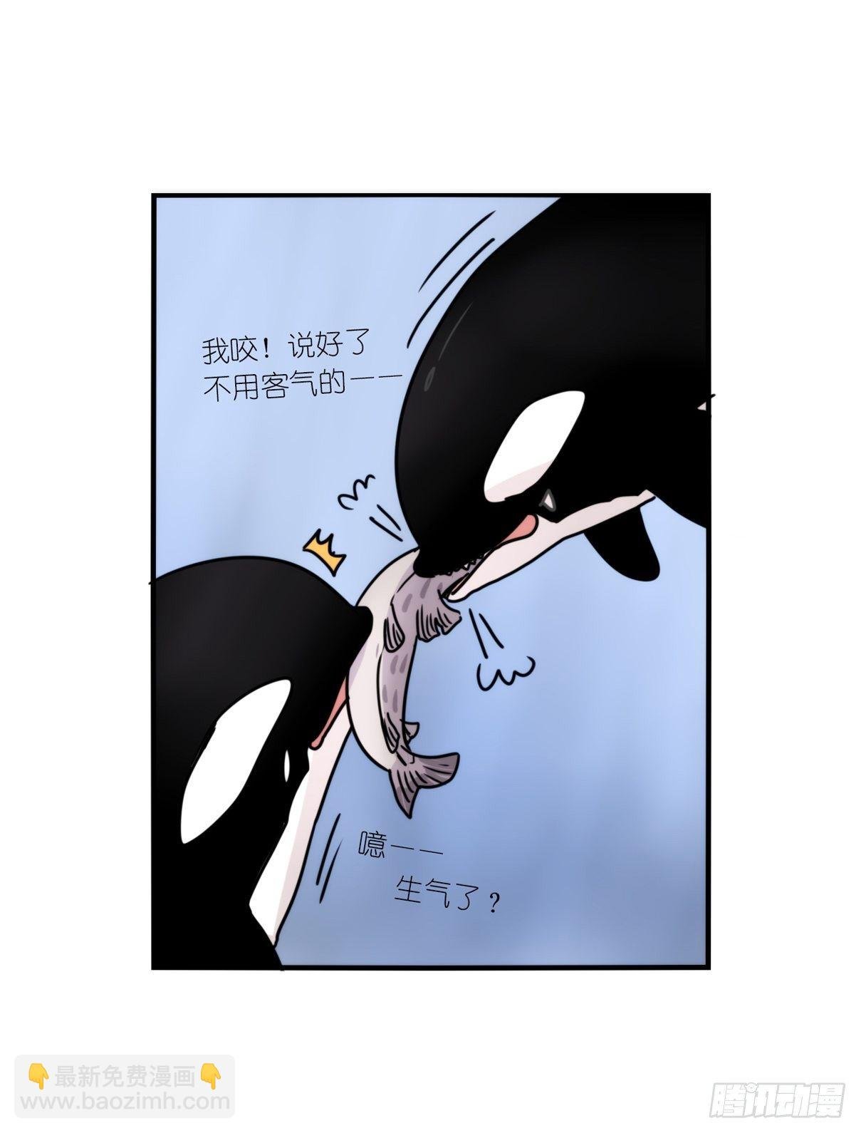 虎鲸篇：这些杀手不太冷05