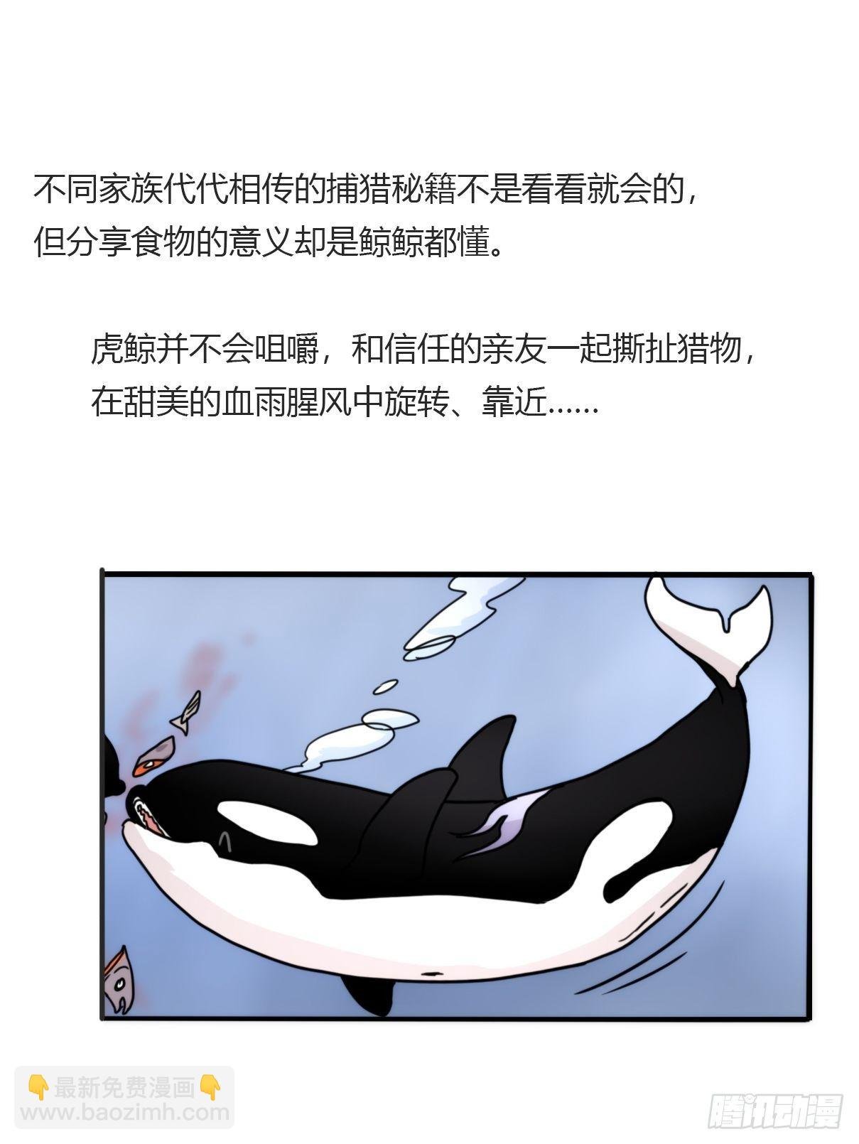 虎鲸篇：这些杀手不太冷05