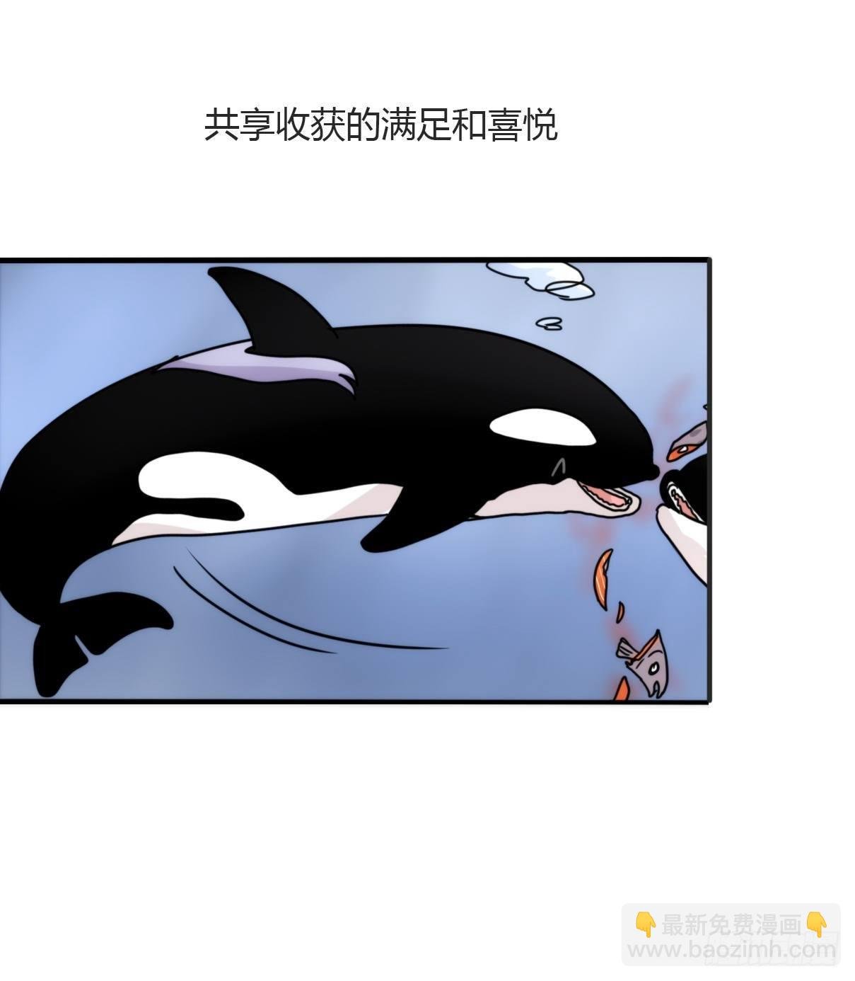 虎鲸篇：这些杀手不太冷05