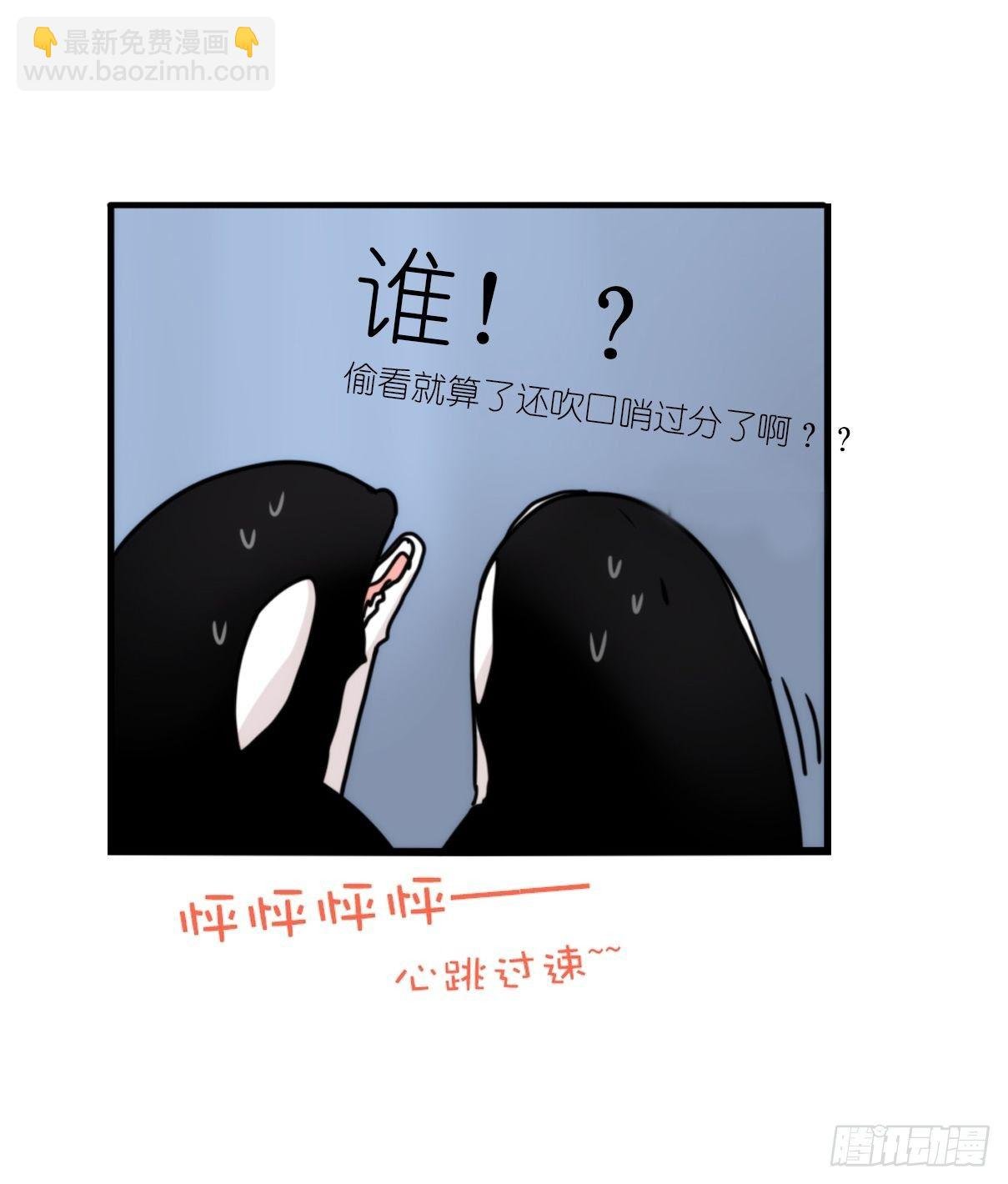 虎鲸篇：这些杀手不太冷05