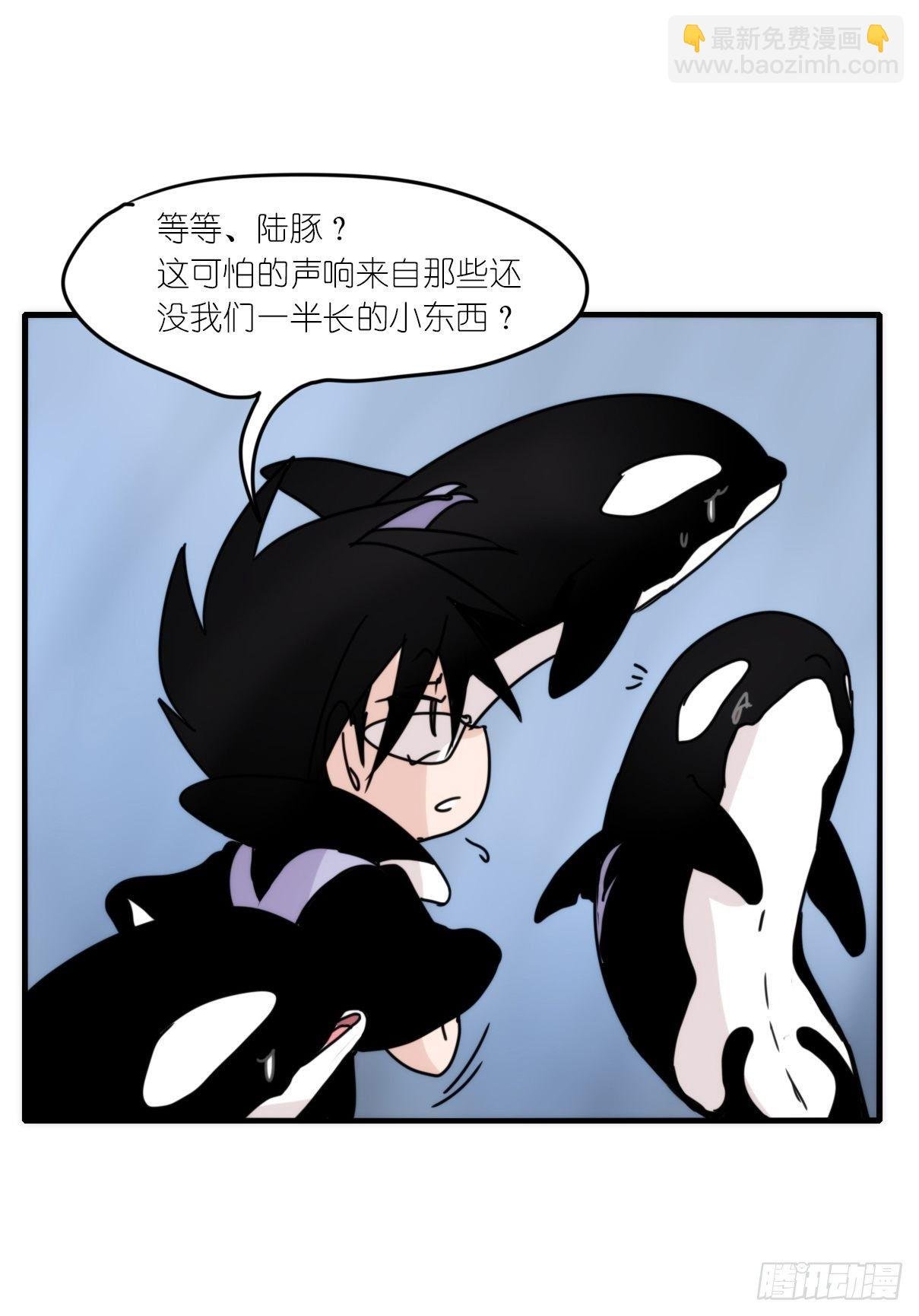 虎鲸篇：这些杀手不太冷05