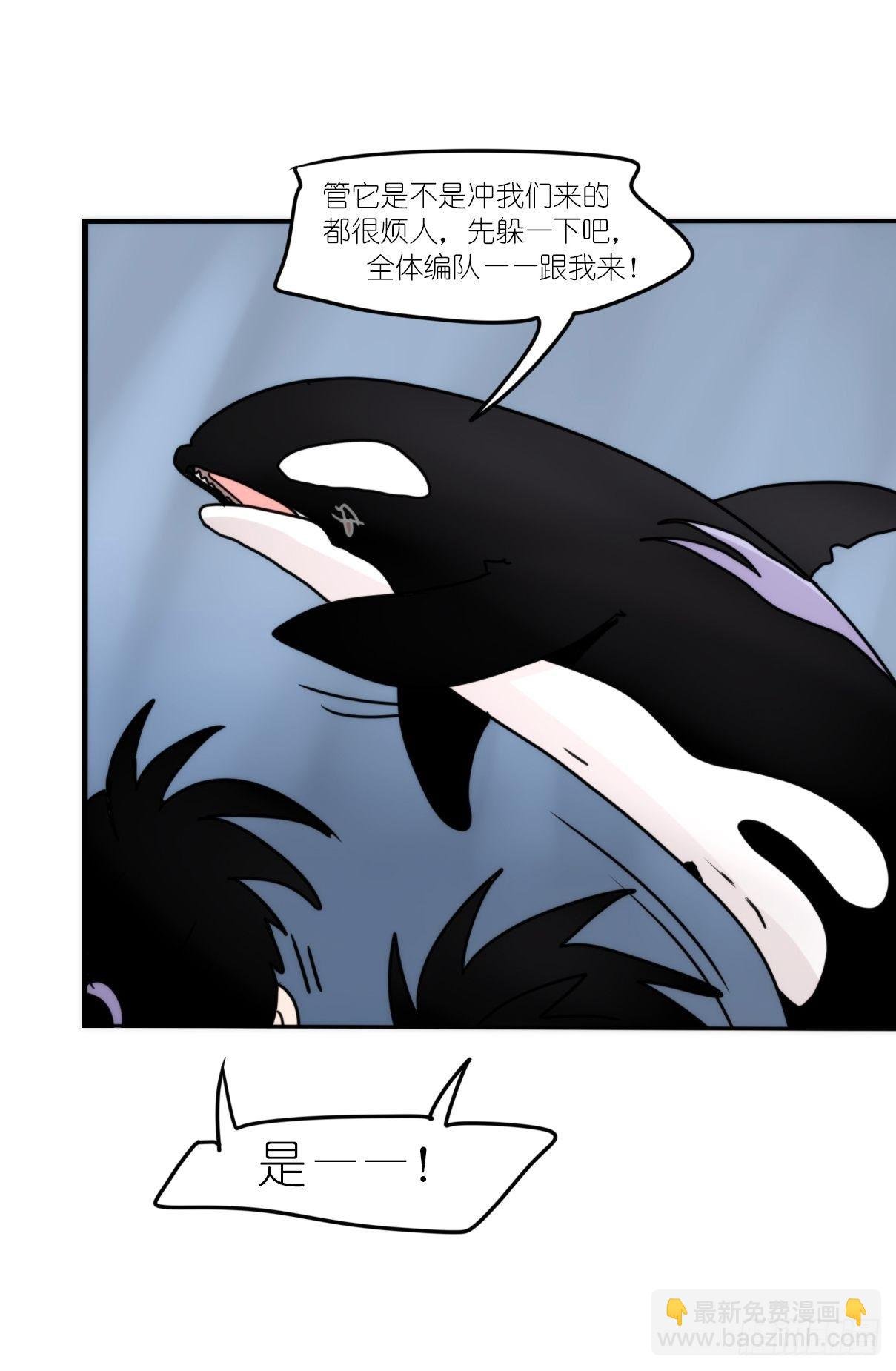 虎鲸篇：这些杀手不太冷05