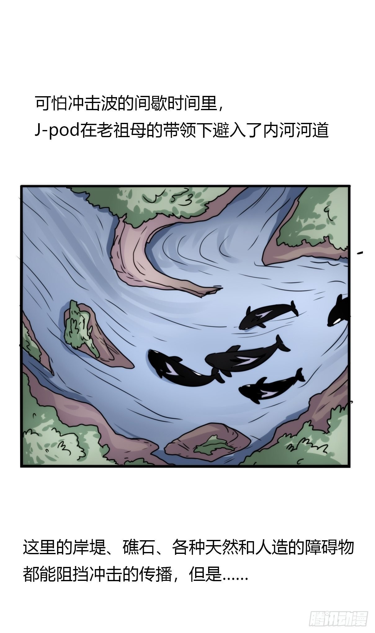 虎鲸篇：这些杀手不太冷05