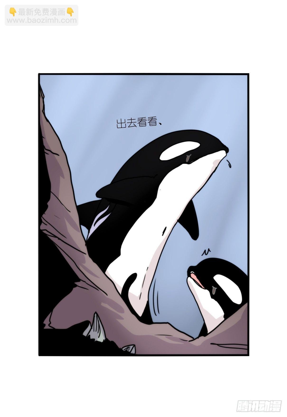 虎鲸篇：这些杀手不太冷05