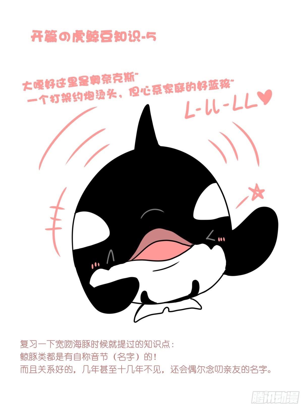 虎鲸篇：这些杀手不太冷06