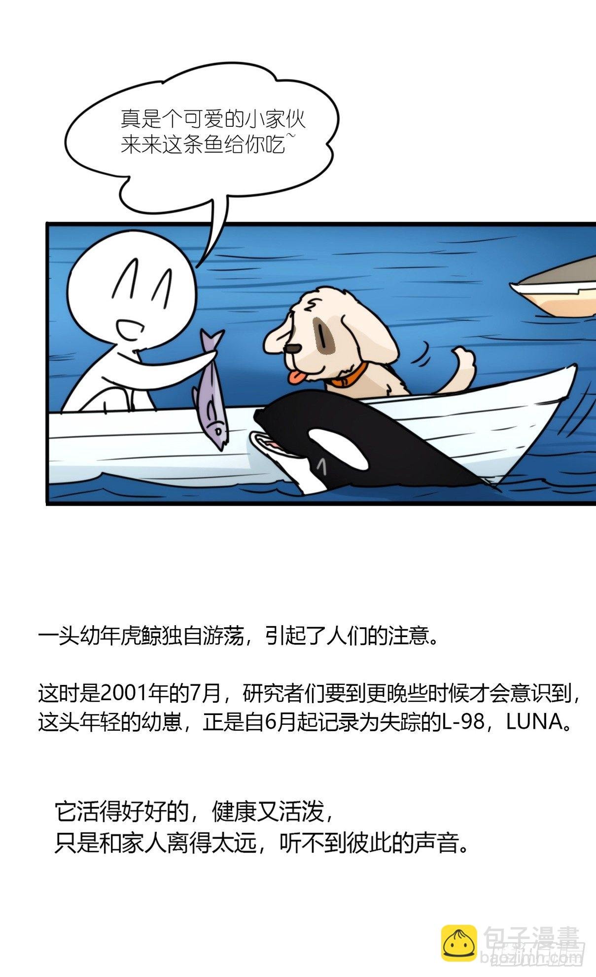 虎鲸篇：这些杀手不太冷06