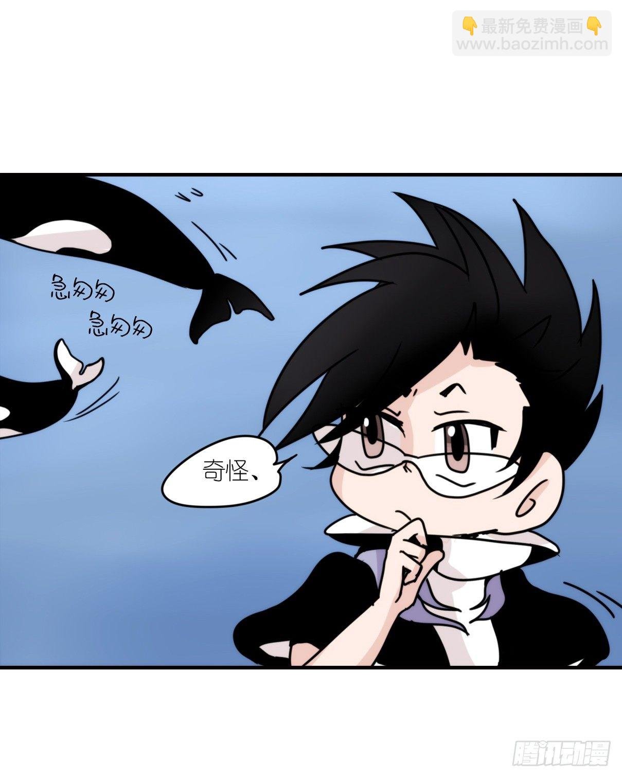 虎鲸篇：这些杀手不太冷06