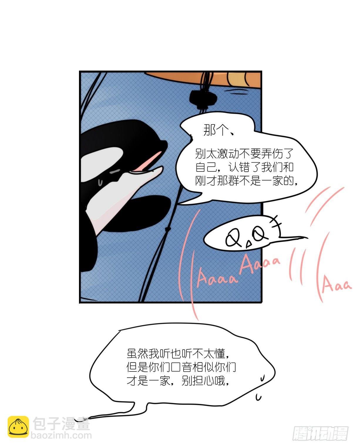 虎鲸篇：这些杀手不太冷06