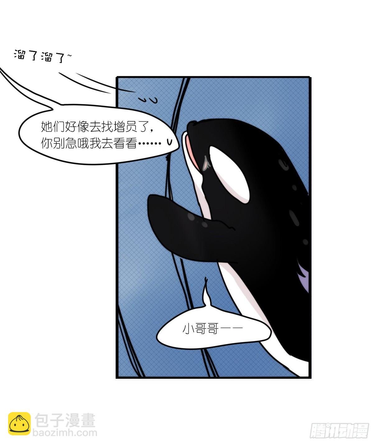 虎鲸篇：这些杀手不太冷06