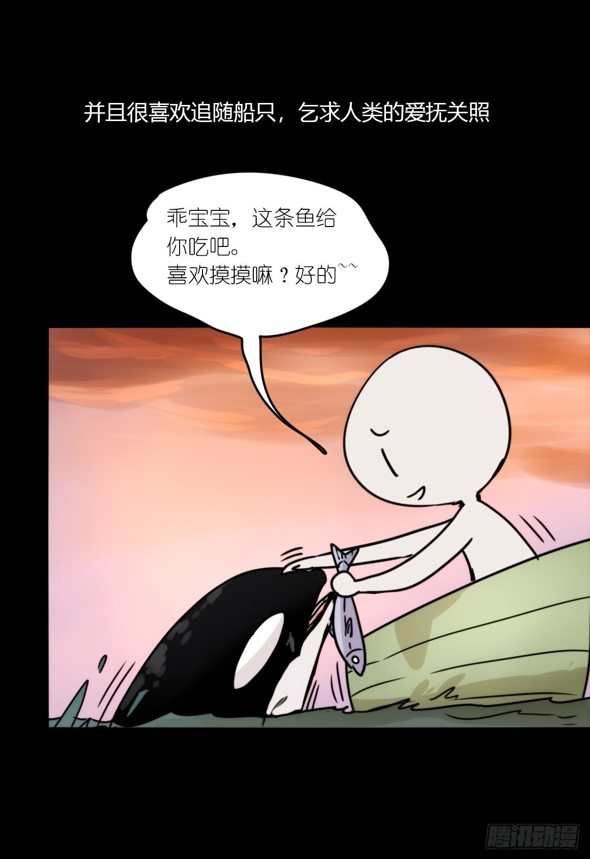 虎鲸篇：这些杀手不太冷06