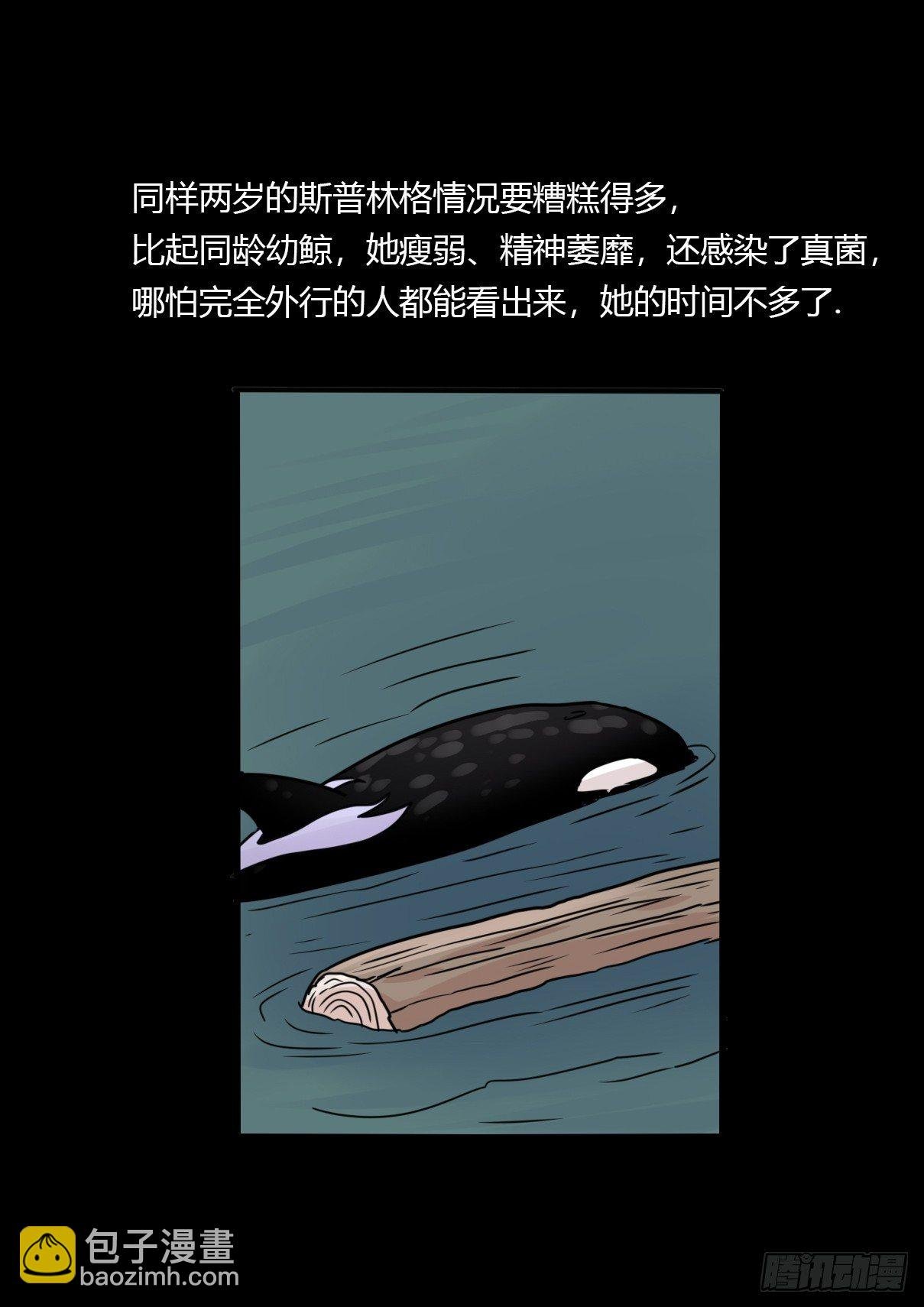 虎鲸篇：这些杀手不太冷06