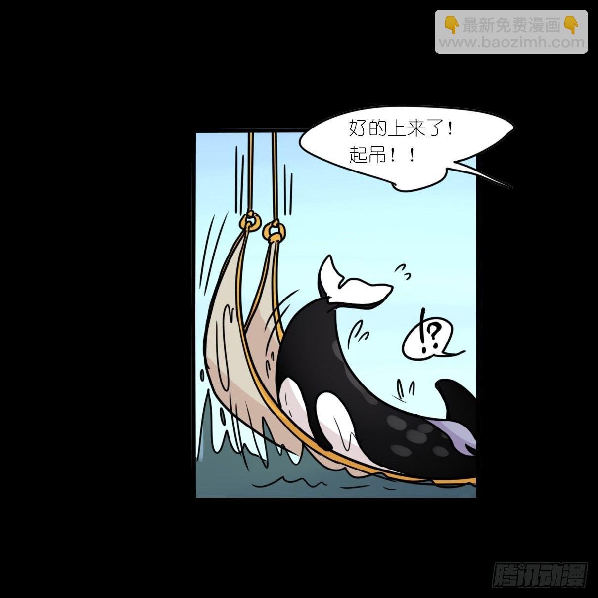 虎鲸篇：这些杀手不太冷06