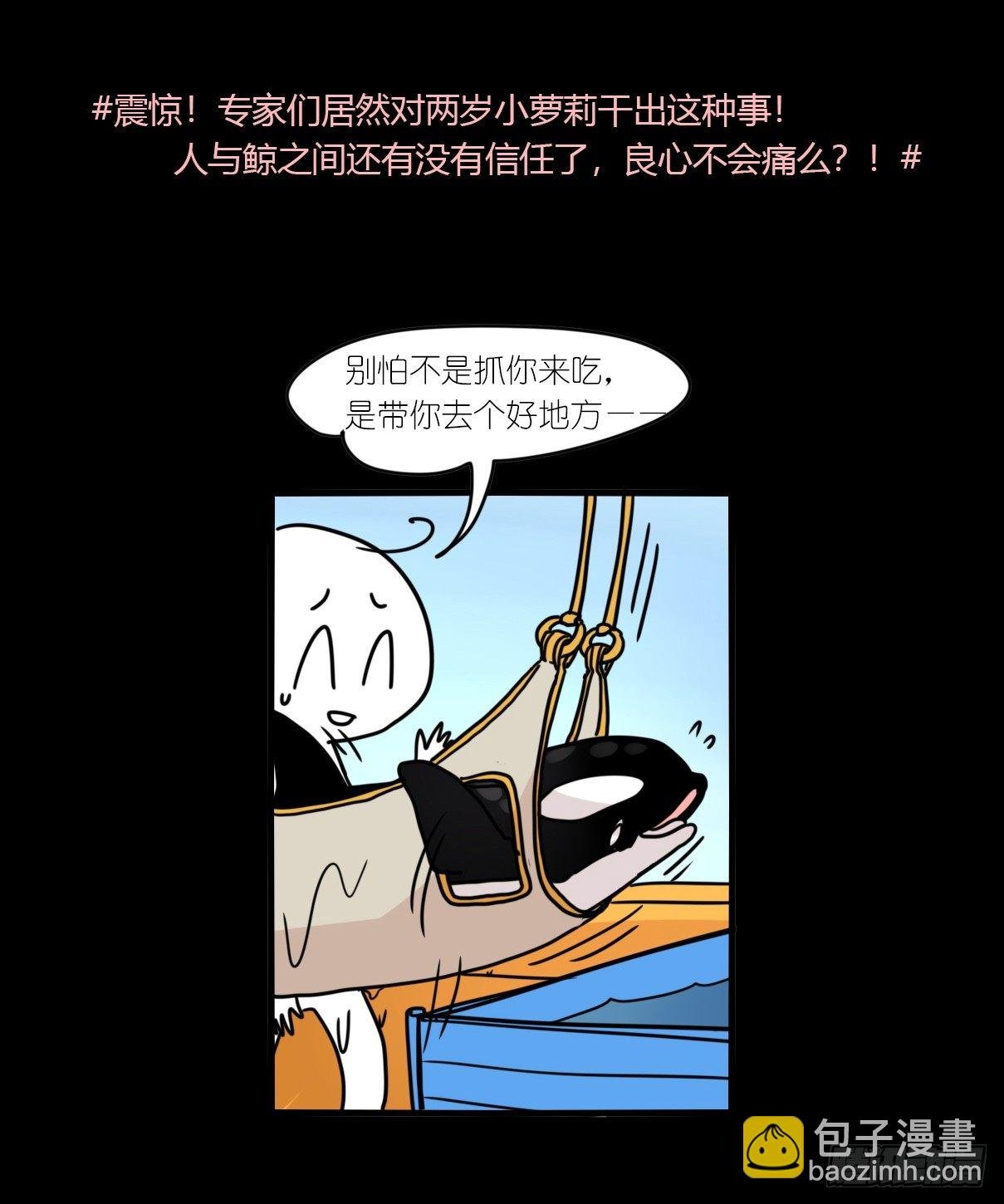 虎鲸篇：这些杀手不太冷06