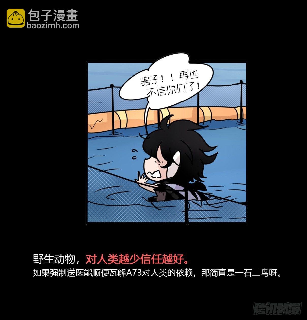 虎鲸篇：这些杀手不太冷06