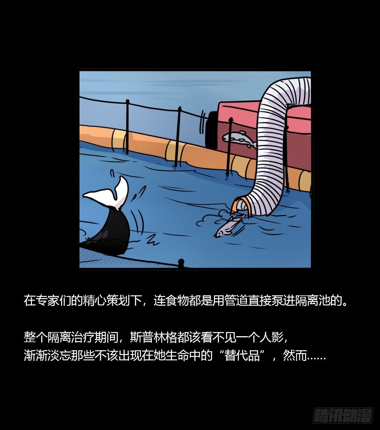 虎鲸篇：这些杀手不太冷06