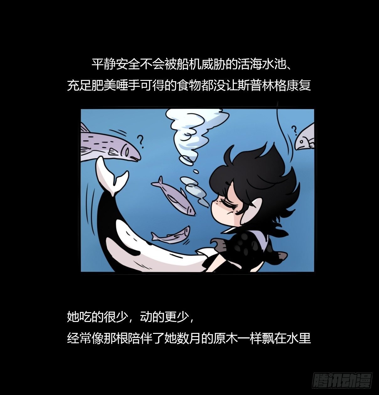 虎鲸篇：这些杀手不太冷06