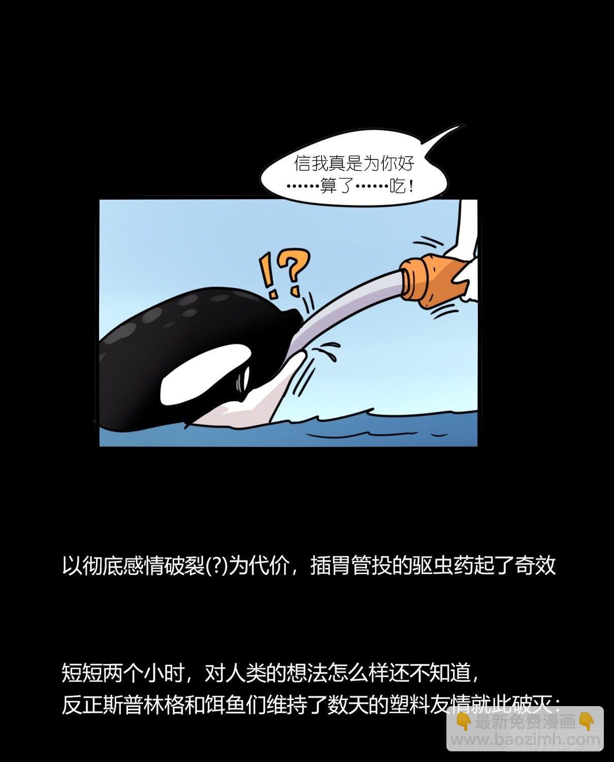 虎鲸篇：这些杀手不太冷06
