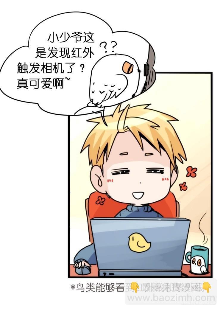 飞吧小少爷：不速之客？